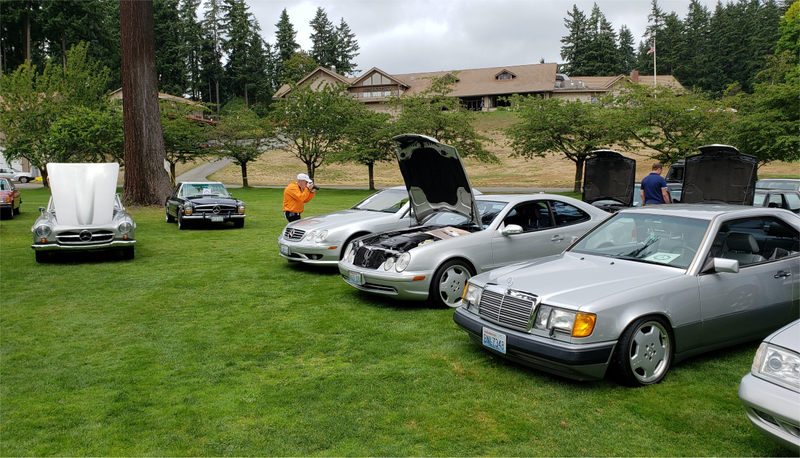 Illustration for article titled 2019 MBCA Seattle Regional Show & Shine (pic heavy)